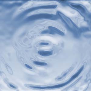 Laurentiu Tibuleac & Popa Andrei.jpg